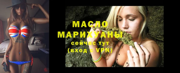 индика Михайловка