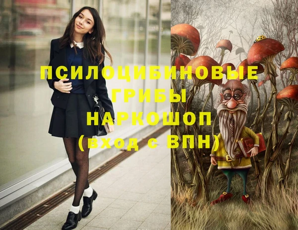 мдпв Михайлов