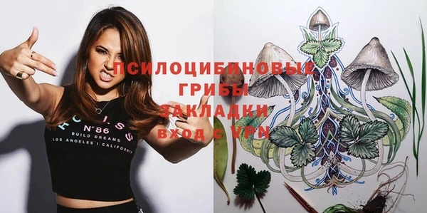 a pvp Михайловск
