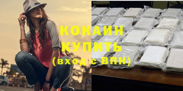 индика Михайловка